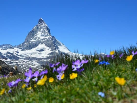 Le Cervin en Suisse