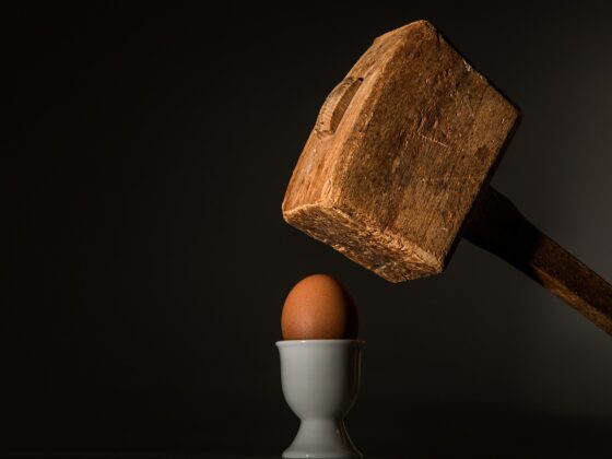 egg oeuf