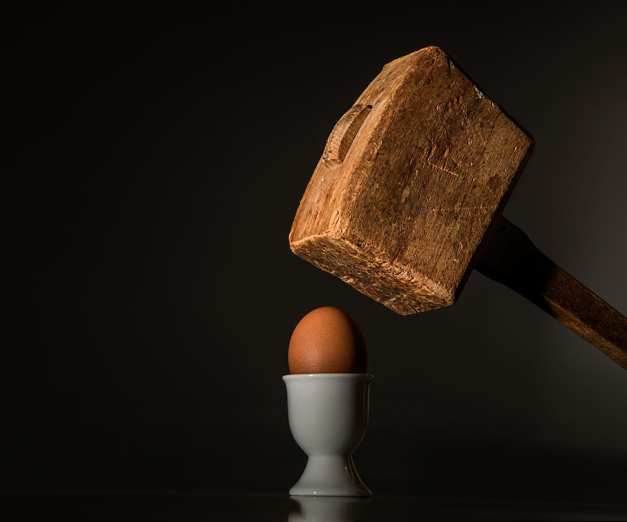 egg oeuf