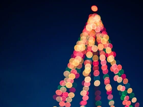 xmas tree sapin de Noël
