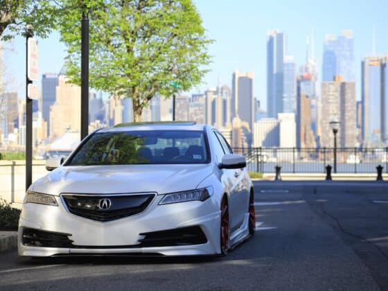 white acura sedan on gray asphalt road near green tree at daytime