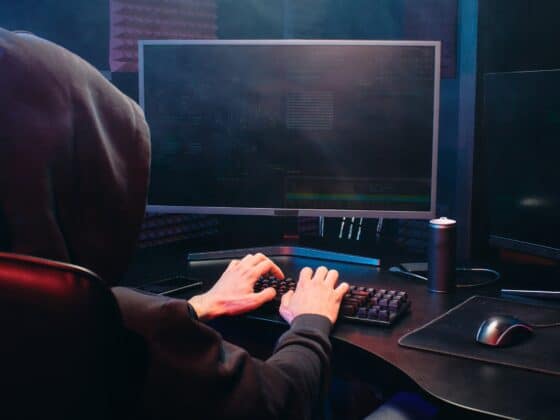 un pirate devant un écran et en train de coder
