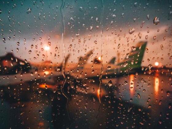 photo of rain drops