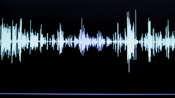 audio voice