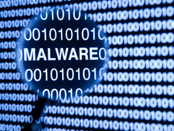 Un coup de loupe sur la mention malware au-dessus d'un fond de 0 et 1