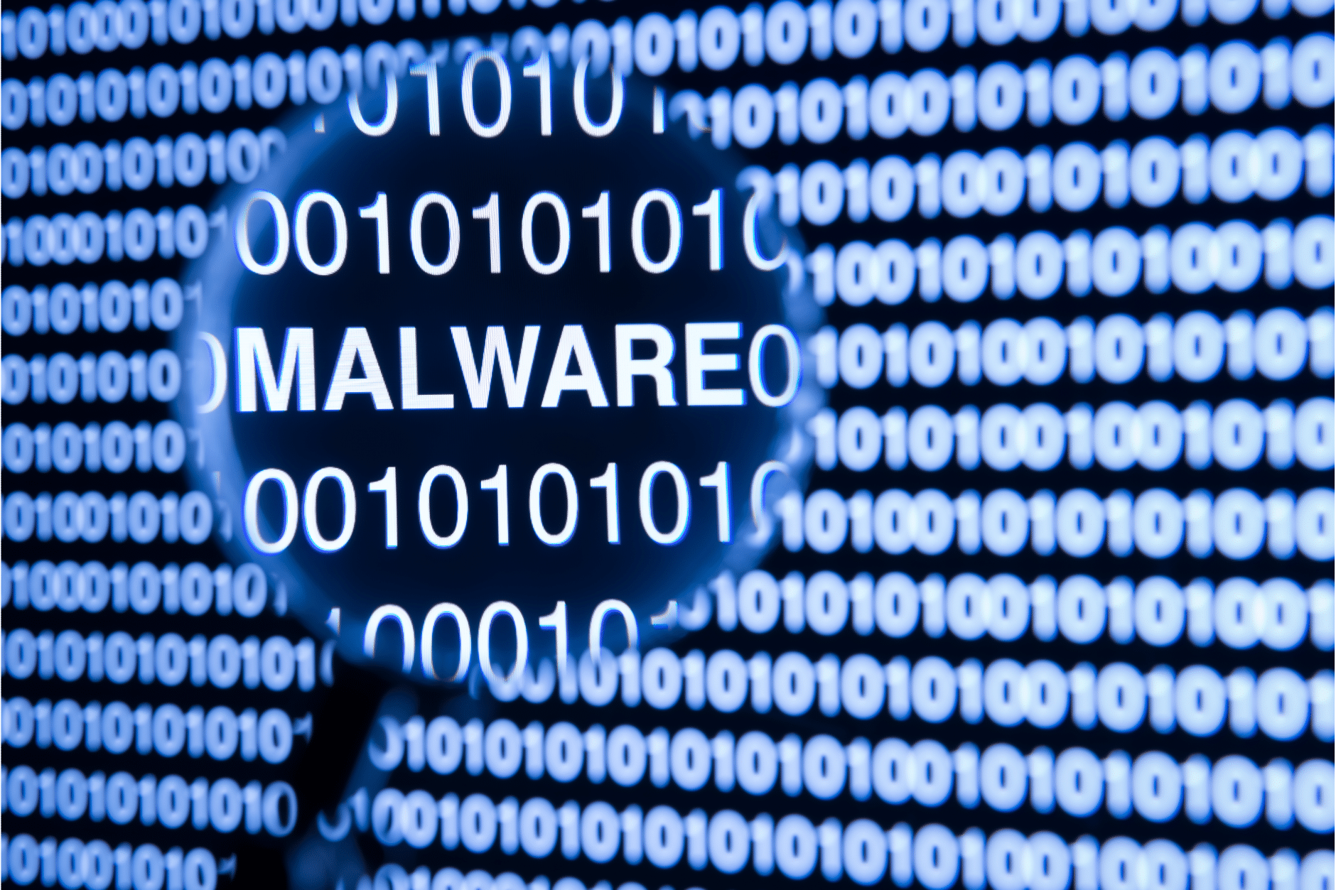 Un coup de loupe sur la mention malware au-dessus d'un fond de 0 et 1