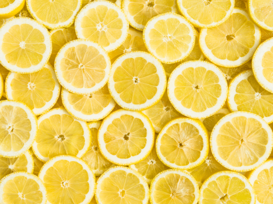 Un tapis de rondelles de citron