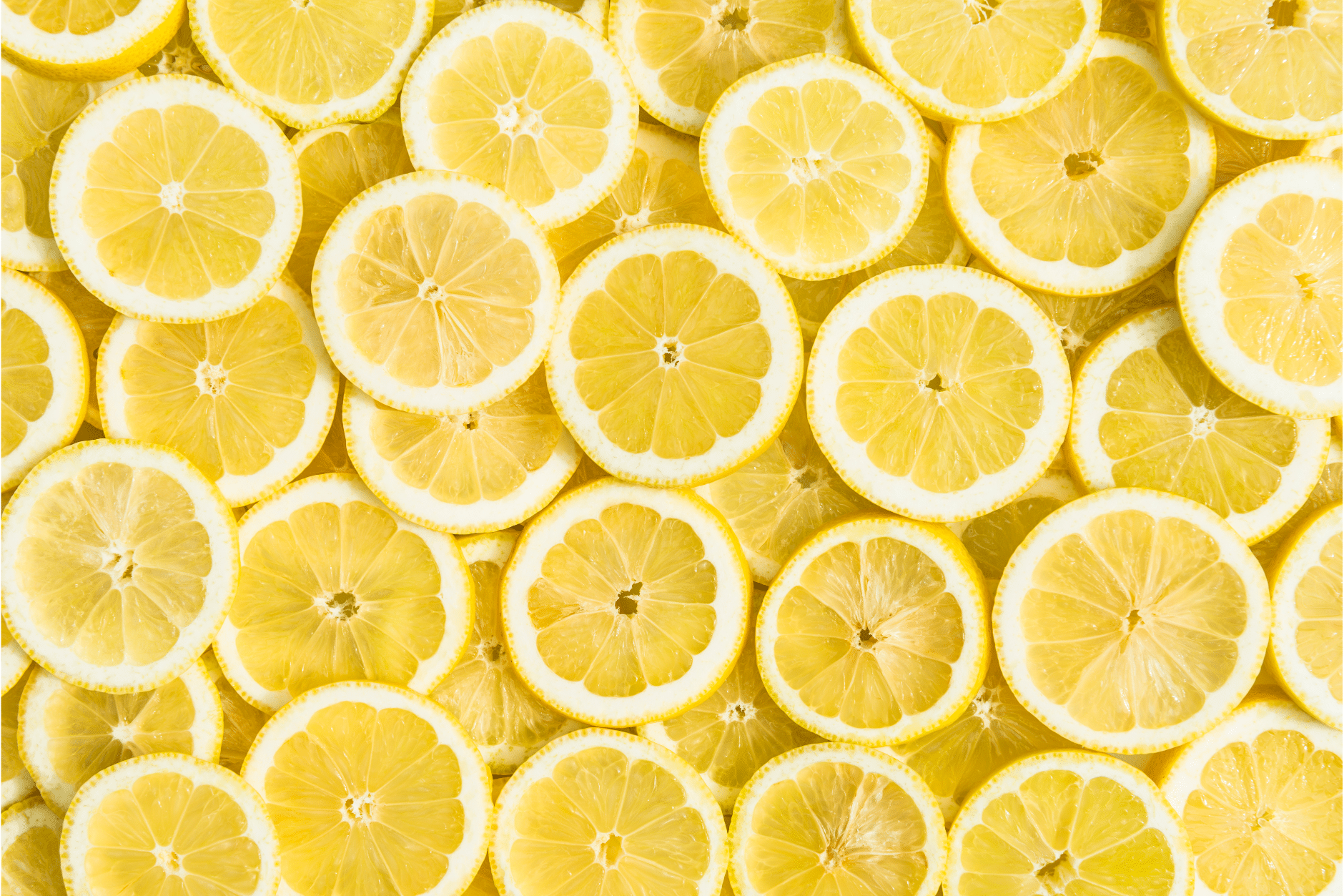 Un tapis de rondelles de citron