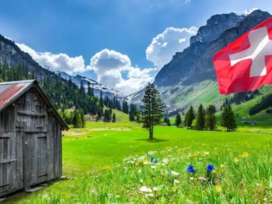 Paysage de Suisse avec une prairie des montagne et un drapeau suisse
