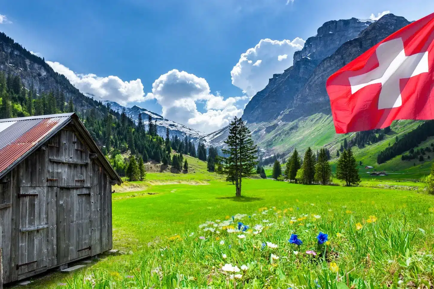 Paysage de Suisse avec une prairie des montagne et un drapeau suisse