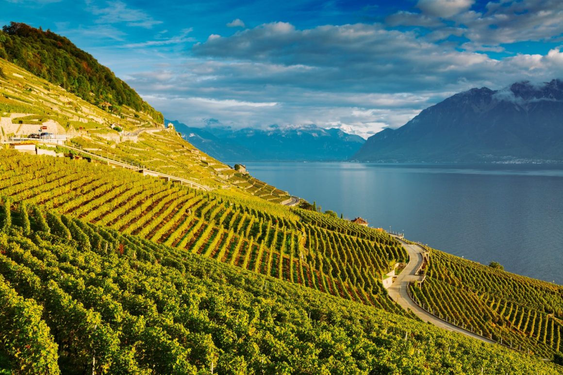 lavaux switzerland lake geneva and the swiss alps landscape seen from lavaux vineyard tarraces in canton of vaud