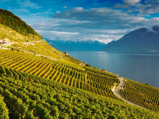 lavaux switzerland lake geneva and the swiss alps landscape seen from lavaux vineyard tarraces in canton of vaud