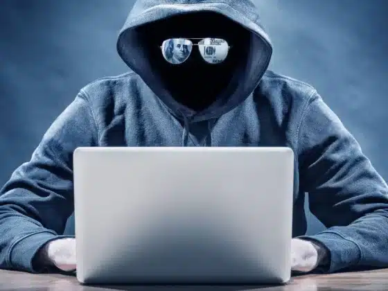 Un pirate auteur de fraudes en ligne