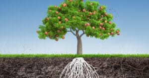 Un bug d'Apple permet de contourner les protections root sans accès physique