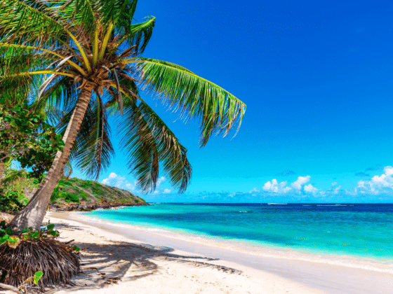 Une plage des Bahamas