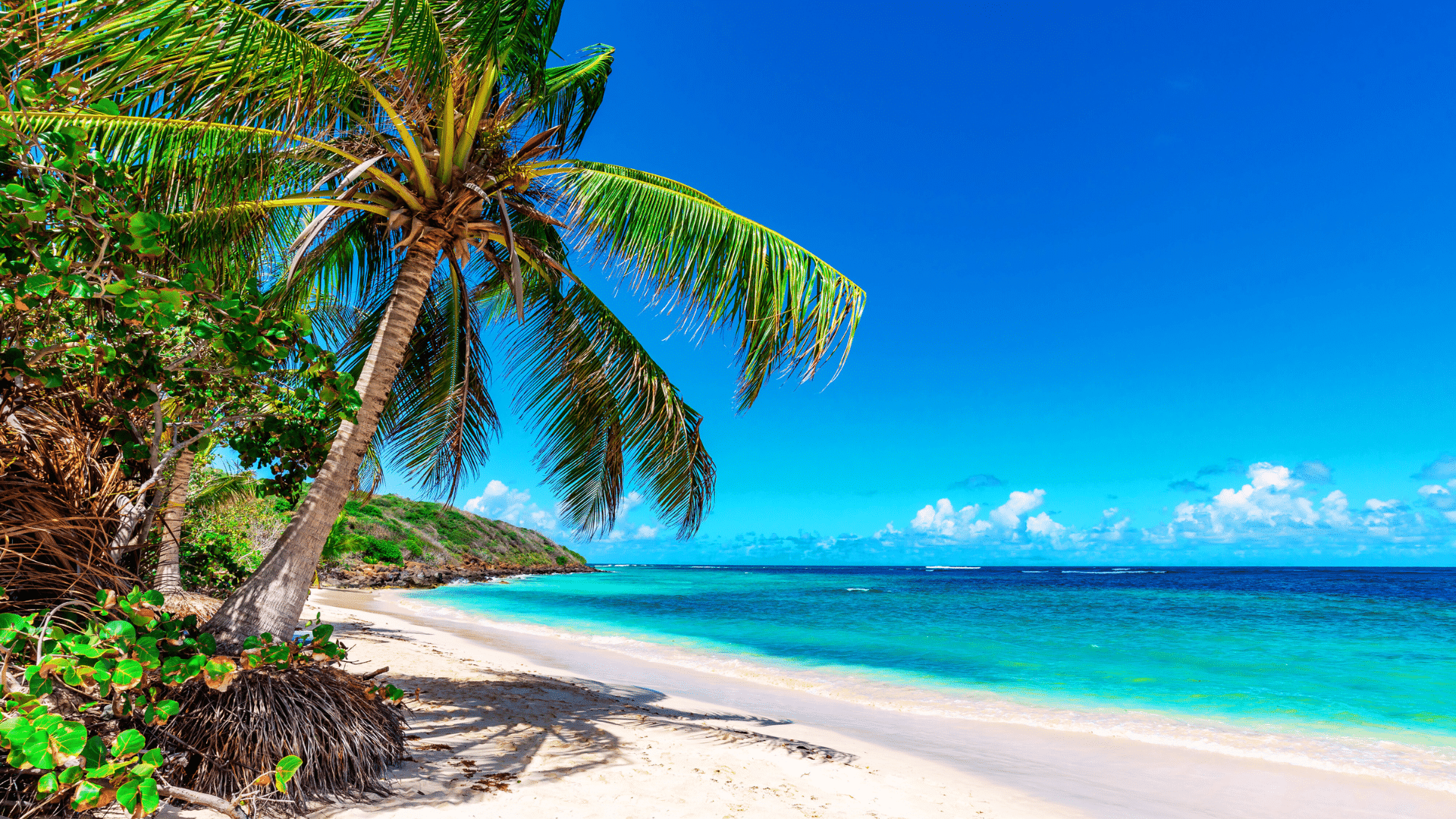 Une plage des Bahamas