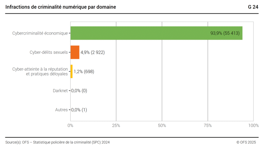 Infractions de criminalité numérique 2024 par domaine