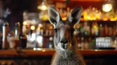 Une faille de sécurité massive liée à la reconnaissance faciale dans des bars australiens | Le site de Korben