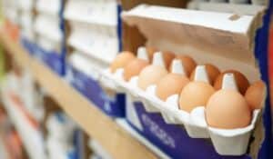 Une cyberattaque entraîne des retards pour le plus grand producteur de poulet d'Afrique du Sud