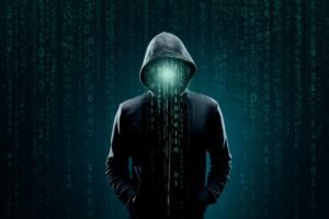 Le membre du personnel du Doge « Big Balls » d'Elon Musk aurait dirigé le support technique d'un réseau de cybercriminalité