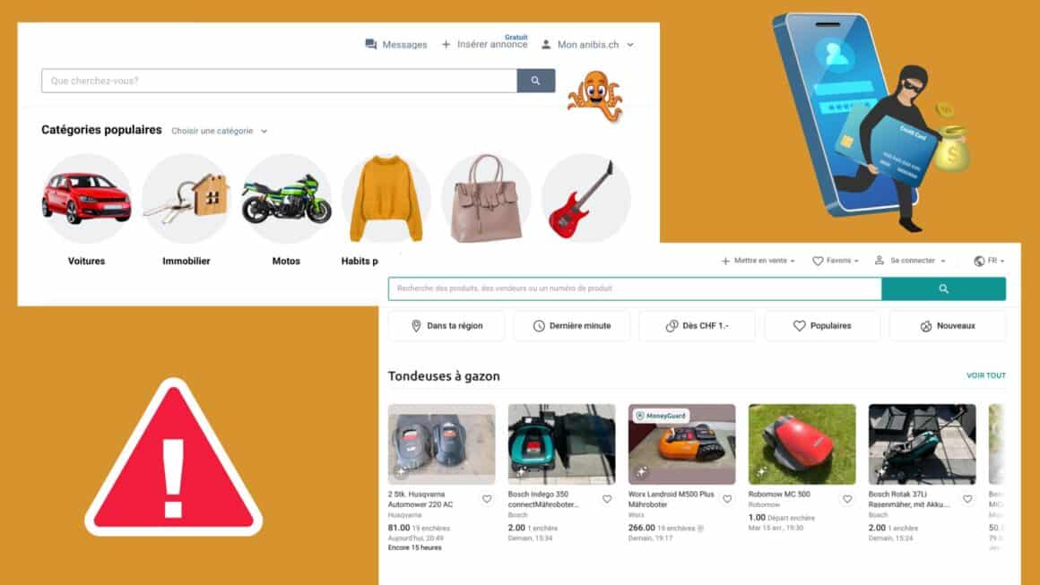 Arnaques et petites annonces