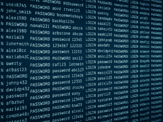 Une longue liste de login et mots de passe qui ont fuité