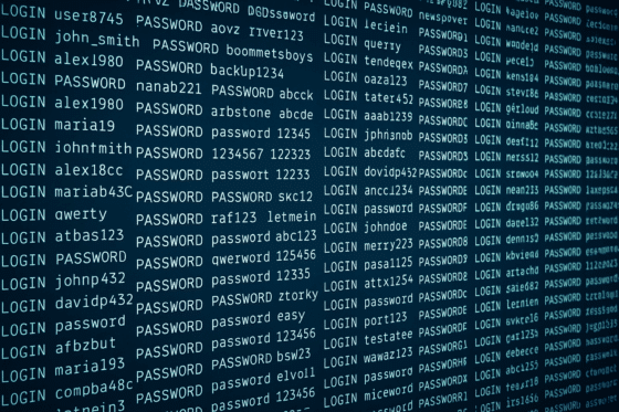 Une longue liste de login et mots de passe qui ont fuité
