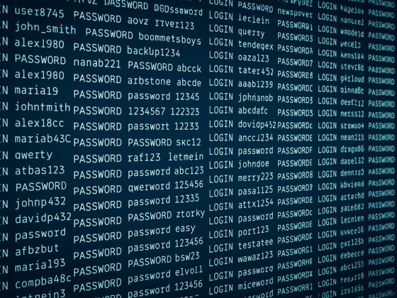 Une longue liste de login et mots de passe qui ont fuité