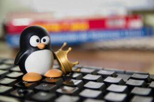 LibreOffice rejoint la campagne pour abandonner Windows