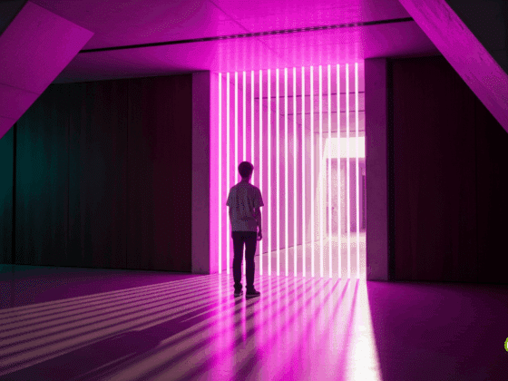 Dans un espace minimaliste en béton, un adolescent vu de dos fait face à un portail de lumière magenta. Les rayons lumineux projettent de longues ombres sur le sol poli, symbolisant un seuil ou une barrière numérique.
