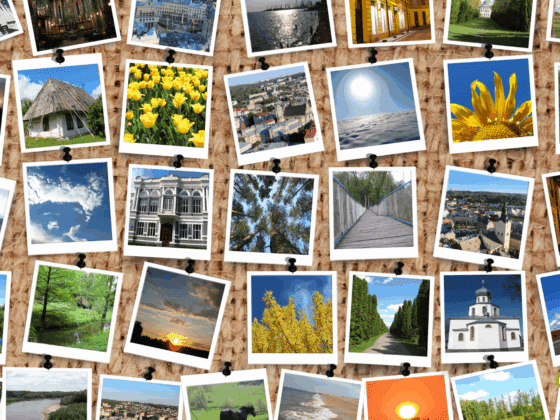 Mosaïque de photos représentant divers paysages et scènes, incluant des vues de villes historiques, des forêts, des rivières, des couchers de soleil, des bâtiments architecturaux et des éléments de la nature comme des champs de fleurs et des ponts suspendus.