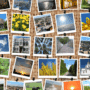 Mosaïque de photos représentant divers paysages et scènes, incluant des vues de villes historiques, des forêts, des rivières, des couchers de soleil, des bâtiments architecturaux et des éléments de la nature comme des champs de fleurs et des ponts suspendus.