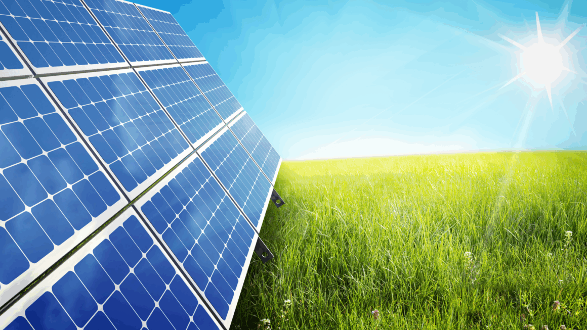 Panneaux solaires photovoltaïques installés dans un champ verdoyant sous un ciel bleu ensoleillé, symbolisant l’énergie propre et le développement durable.