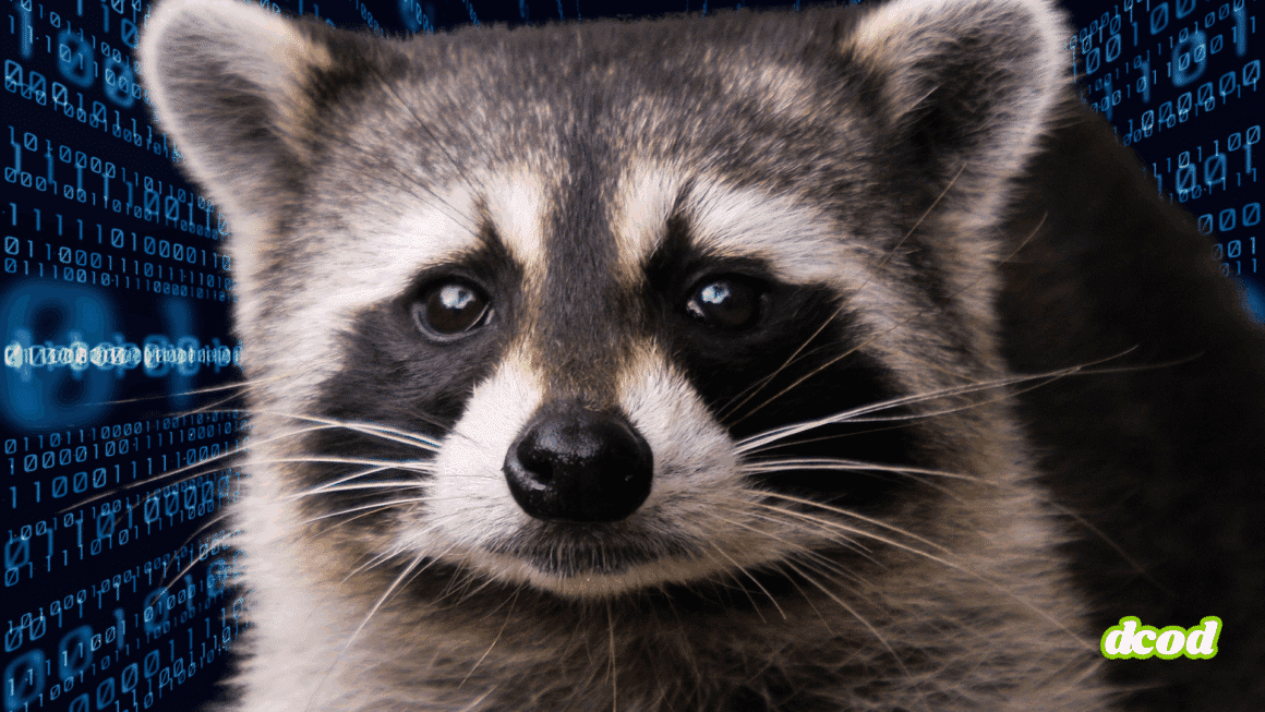 Gros plan sur un raton laveur au regard expressif, placé devant un fond composé de chiffres binaires bleu néon, avec le logo vert « dcod » en bas à droite de l’image
