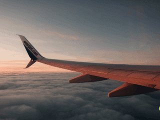 Photographie prise depuis le hublot d’un avion WestJet en vol, montrant une aile d’avion survolant une mer de nuages au coucher du soleil, avec le logo "dcod" en bas à droite.