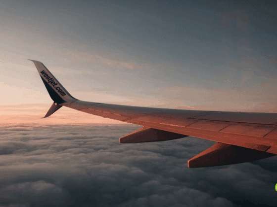 Photographie prise depuis le hublot d’un avion WestJet en vol, montrant une aile d’avion survolant une mer de nuages au coucher du soleil, avec le logo "dcod" en bas à droite.