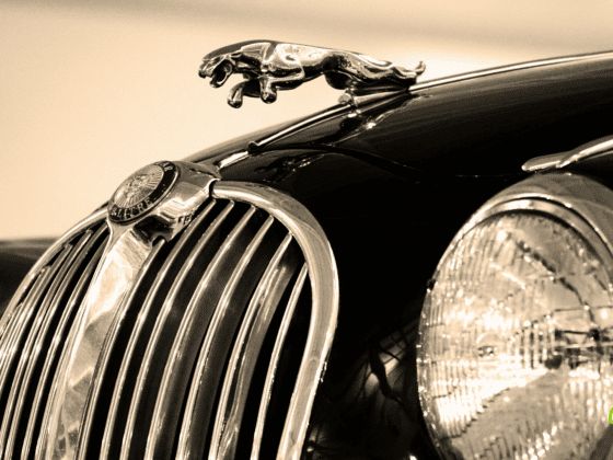 Vue rapprochée de la calandre chromée et de la mascotte féline emblématique d’une voiture de collection Jaguar, avec un effet sépia accentuant le style rétro. Logo « dcod » visible en bas à droite.