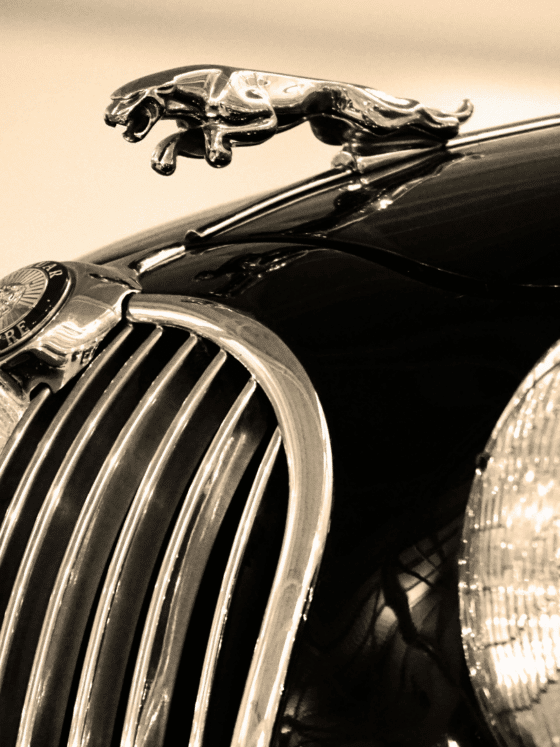Vue rapprochée de la calandre chromée et de la mascotte féline emblématique d’une voiture de collection Jaguar, avec un effet sépia accentuant le style rétro. Logo « dcod » visible en bas à droite.