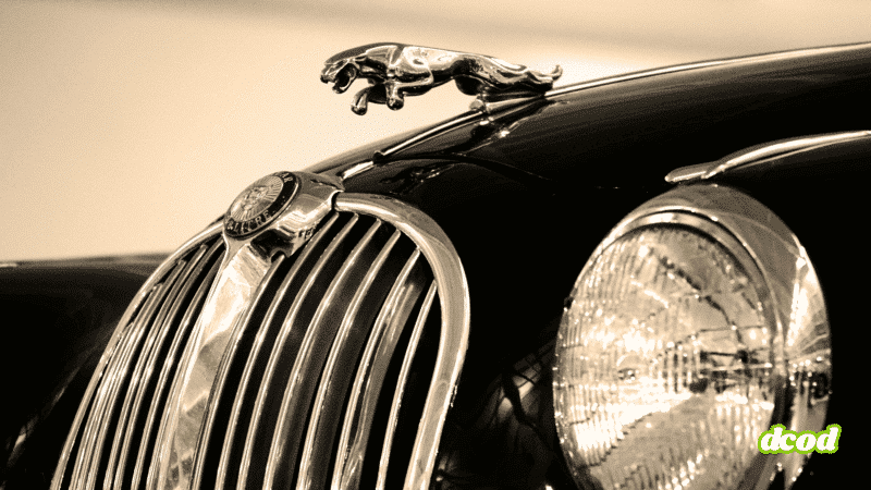 Vue rapprochée de la calandre chromée et de la mascotte féline emblématique d’une voiture de collection Jaguar, avec un effet sépia accentuant le style rétro. Logo « dcod » visible en bas à droite.
