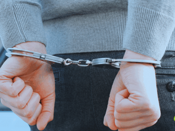 Gros plan sur les mains d'une personne menottée dans le dos, en jean et pull gris, illustrant une arrestation par les forces de l'ordre.