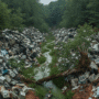 Photographie d'un amoncellement de vieux ordinateurs, écrans et claviers abandonnés au milieu d'une forêt, illustrant la pollution numérique et l'impact environnemental.