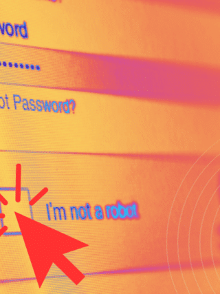 Interface de connexion affichant un champ mot de passe et une case CAPTCHA cochée avec un curseur rouge stylisé.