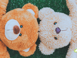 DCOD Peluche connectee et derapage X