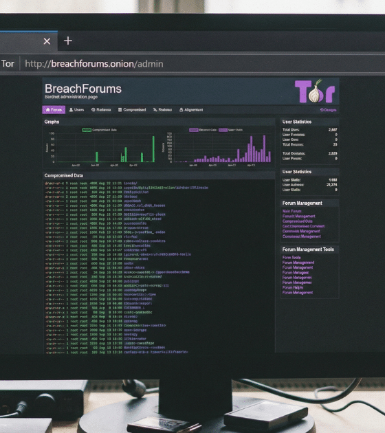 Photographie d'un écran d'ordinateur affichant le navigateur Tor avec l'URL 'http://breachforums.onion/admin'. La page montre une interface d'administration du site du darknet BreachForums avec des statistiques et des outils de gestion.