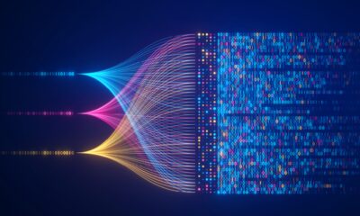 Resecurity piège ShinyHunters : Un honeypot démasque l'attaque 8 Resecurity | Données synthétiques : une nouvelle frontière pour la cyber-tromperie et les leurres