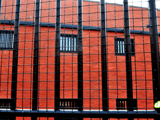 Illustration de l'incarcération injuste : vue de barreaux de prison sur fond de mur en briques rouges, évoquant les conséquences d'une erreur de reconnaissance faciale.