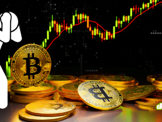 Illustration d'un personnage désespéré face à une chute du cours du Bitcoin, symbolisant comment un faux Ledger sur l'App Store siphonne les économies d'une vie.