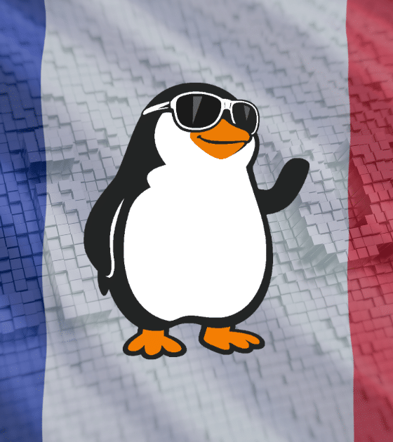 Mascotte Tux de Linux devant un drapeau de la France illustrant la stratégie de souveraineté numérique de l'État pour le média dcod.ch.