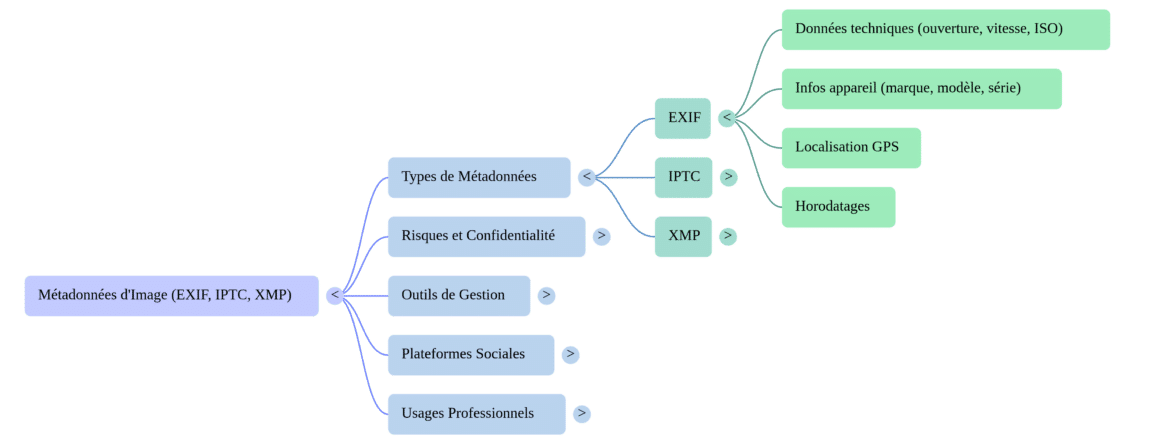Carte mentale présentant la hiérarchie des métadonnées d'image. Le nœud central détaille les formats EXIF, IPTC et XMP. La branche EXIF se divise en quatre catégories : données techniques (ouverture, vitesse, ISO), informations sur l'appareil (marque, modèle, série), localisation GPS et horodatages. Le schéma inclut également des sections sur les risques de confidentialité, les outils de gestion, l'impact des plateformes sociales et les usages professionnels.