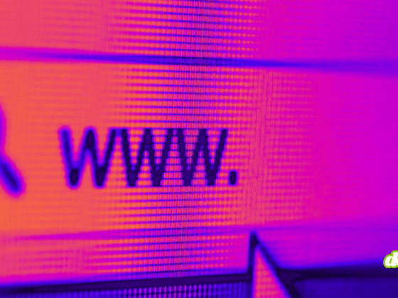 Gros plan sur un écran affichant une barre de recherche "WWW." sur fond violet, illustrant la faille critique NGINX de 18 ans qui menace un tiers du web. Logo dcod.ch visible.